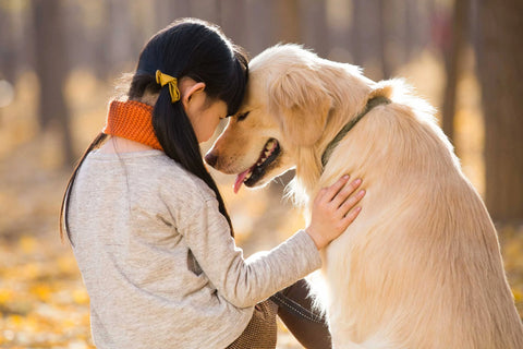 THE MAGIC OF COMPANIONSHIP: WHY CATS AND DOGS ARE THE PERFECT LIFE COMPANIONS