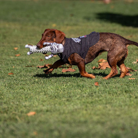 Abrigo para perros Star Wars Gris