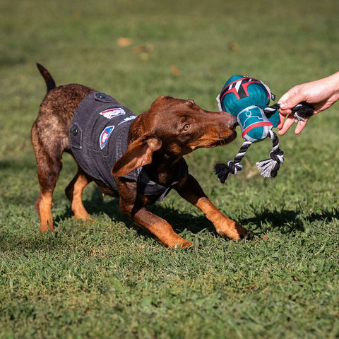 Abrigo para perros Star Wars Gris