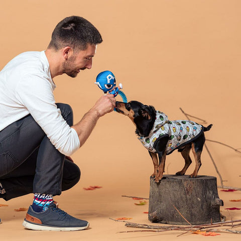 Abrigo para Perros Los Vengadores Gris S