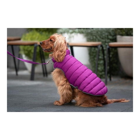 Abrigo para Perros Red Dingo Puffer Rosa/Morado 25 cm