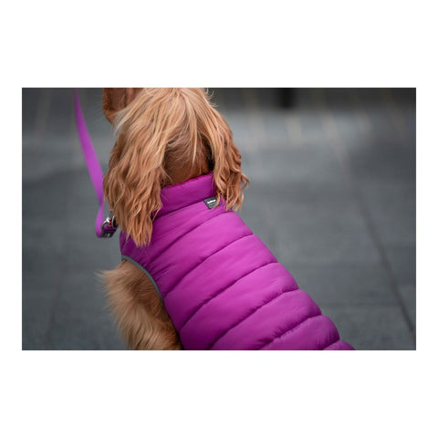 Abrigo para Perros Red Dingo Puffer Rosa/Morado 25 cm